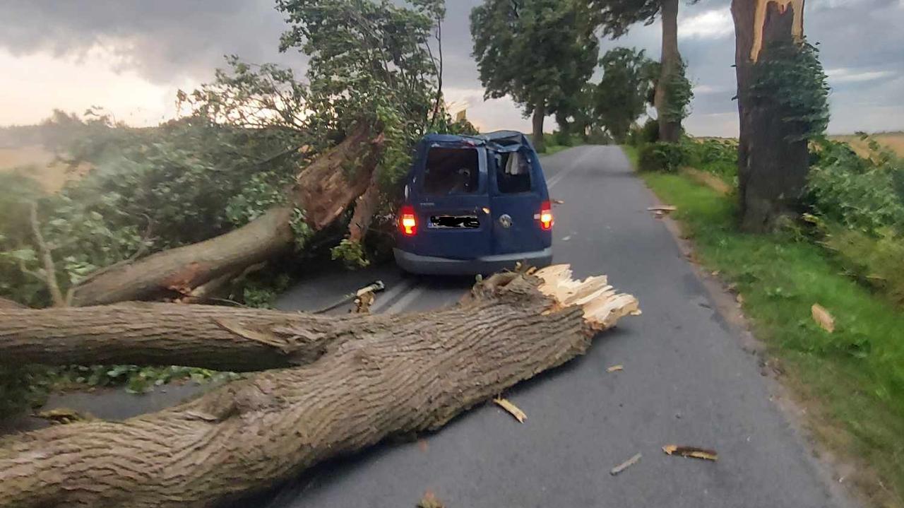 Un bombero fue alcanzado por un rayo y un árbol aplastó un coche.  Tormentas sobre Polonia