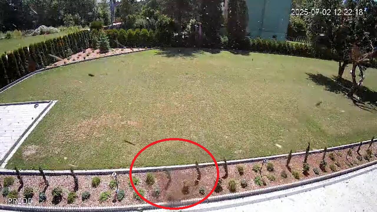 "Widziałem to pierwszy raz. Totalne zaskoczenie"