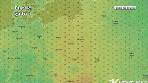 Prognozowana temperatura w następnych dniach