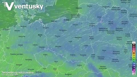 Prognozowana temperatura w kolejnych dniach 