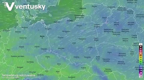 Prognozowana temperatura w kolejnych dniach 