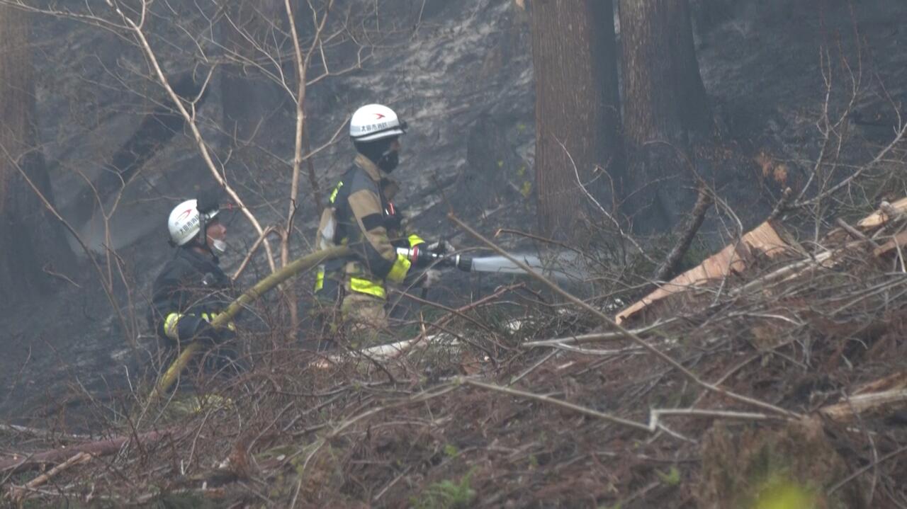 Przeżył tsunami, walczy z ogniem. "Jesteśmy na granicy wyczerpania"
