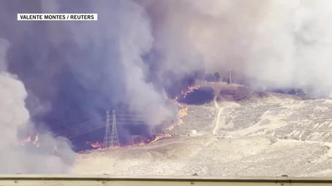 Pożar Hughes Fire wybuchł w pobliżu Los Angeles 