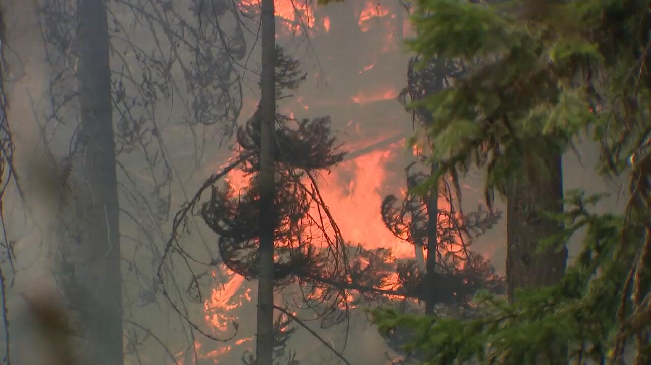 Tysiące strażaków w akcji. Ewakuacje, zagrożone domy