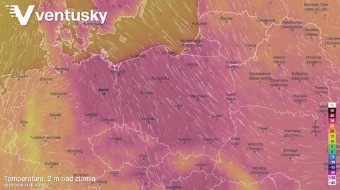 Prognozowana temperatura w kolejnych dniach