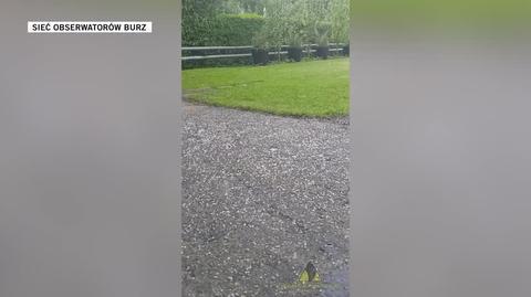 Krupa śnieżna w Elblągu