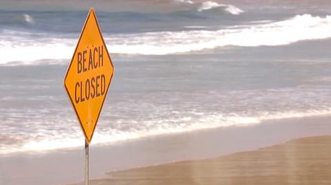 Zamknięta plaża w Sydney