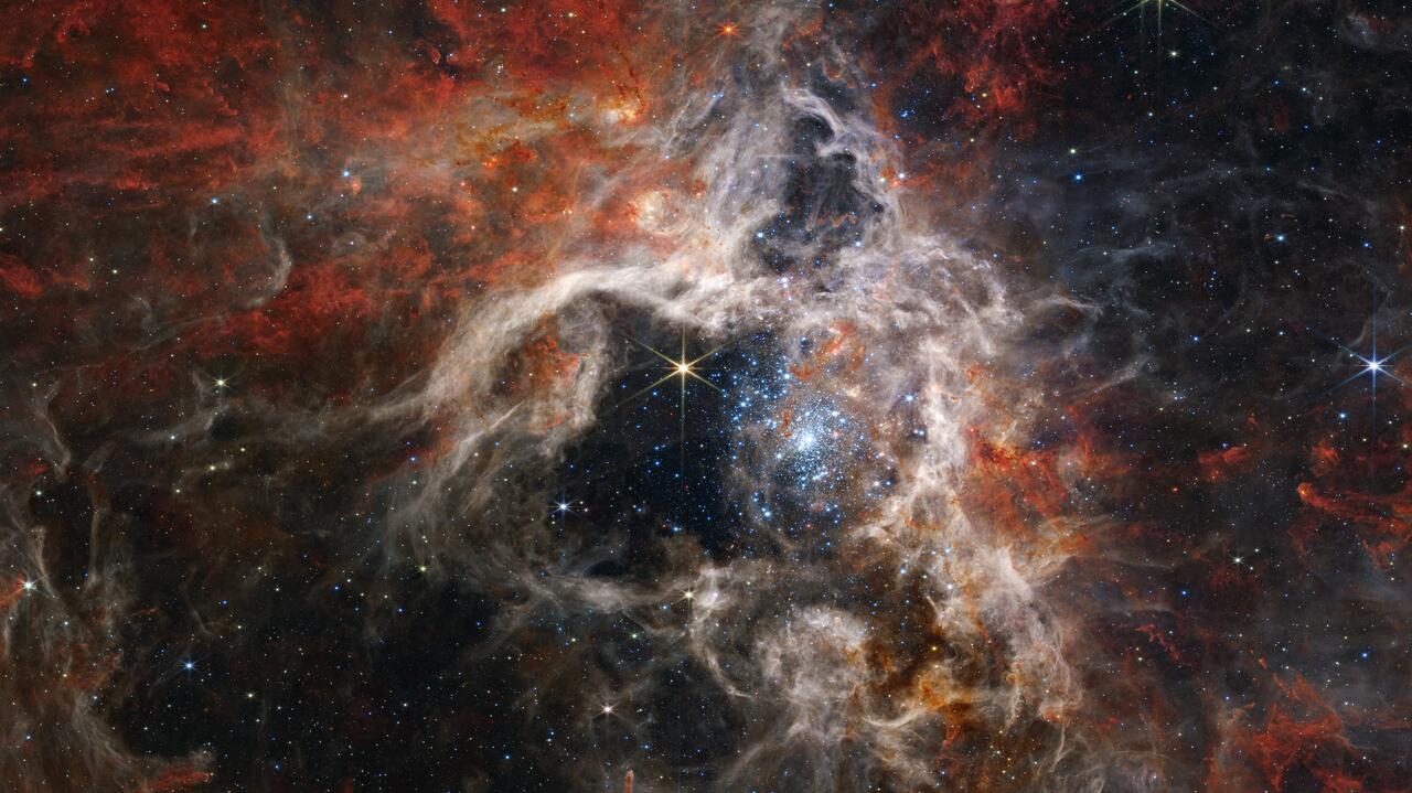 La tarántula espacial se regocija.  Gran nebulosa en la lente del Telescopio James Webb