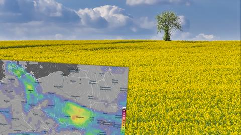 Prognoza temperatury na okres 25-29.04