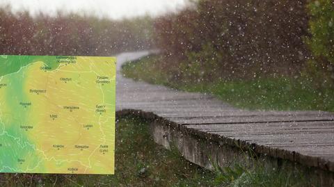 Prognozowana temperatura na najbliższe dni