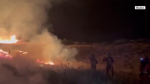 Strażacy walczą z ogniem w prowincji Leon