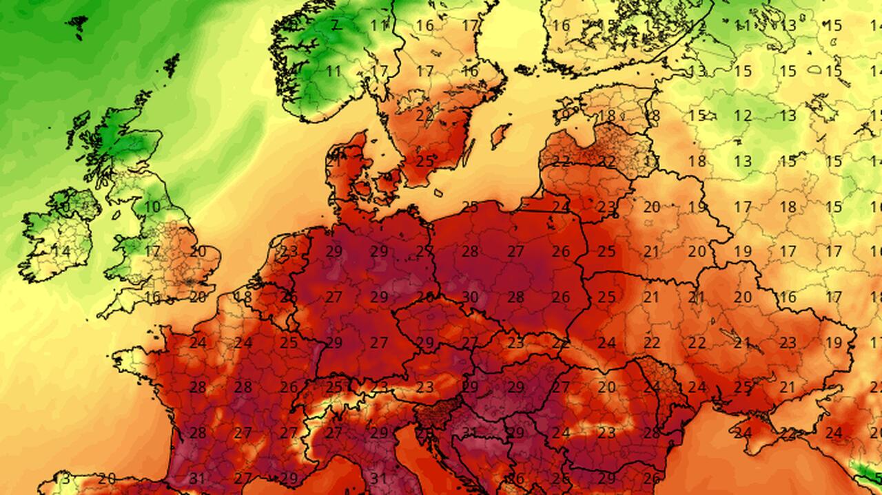 Dostawa z Wysp Zielonego Przylądka. To prawdziwa gratka!