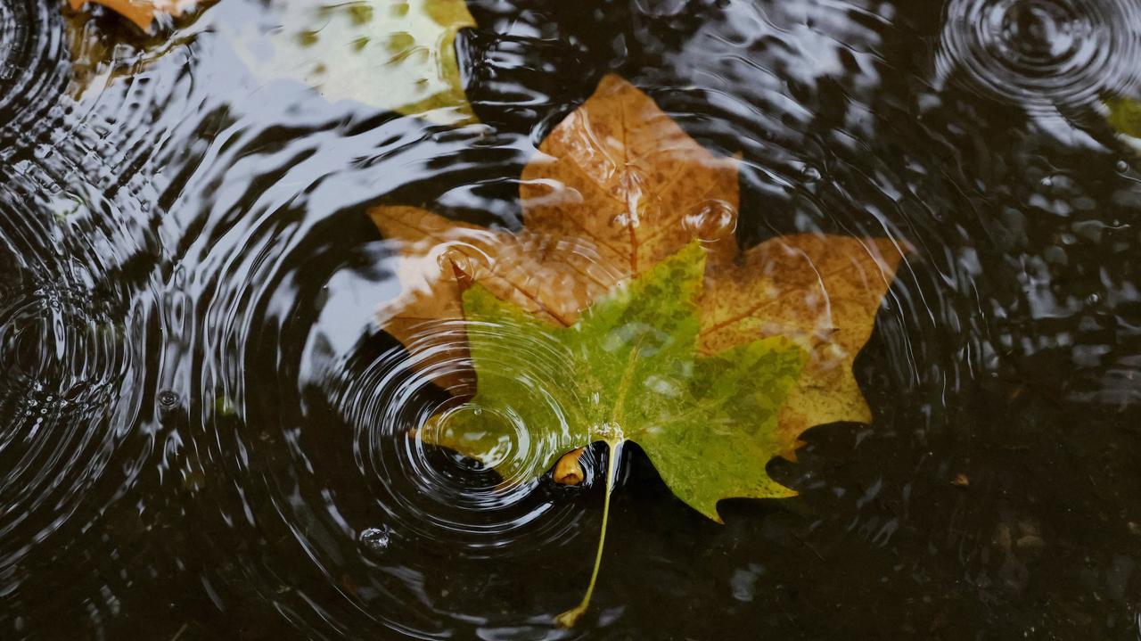 Pogoda na dziś - sobota, 11.10. Pochmurny dzień z deszczem i porywistym wiatrem
