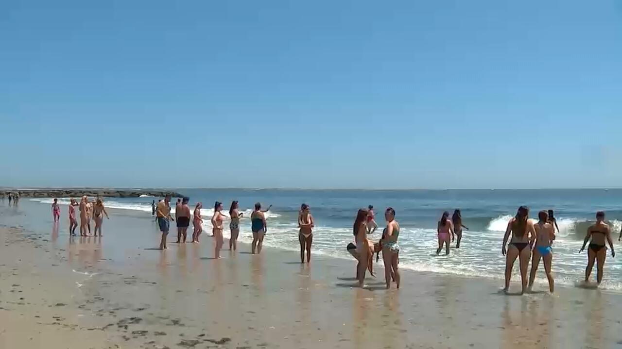 Shark spotted off Long Island closes beaches