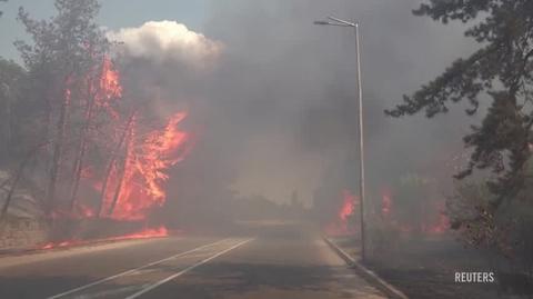Pożary w Bułgarii 