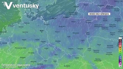 Prognozowana temperatura w najbliższych dniach