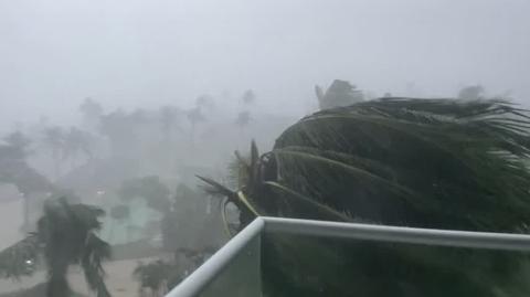 Porywisty wiatr miota palmami na Jamajce