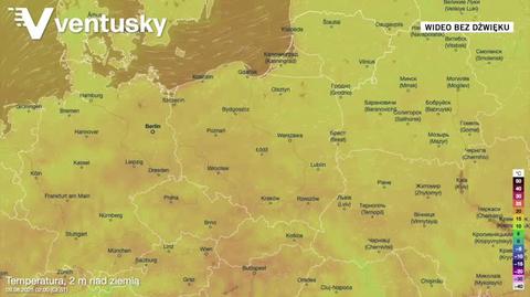 Prognozowane temperatury w kolejnych dniach