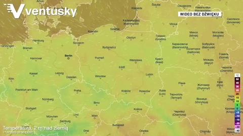 Prognozowana temperatura w kolejnych dniach