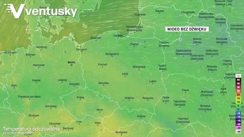 Prognozowana temperatura w kolejnych dniach 