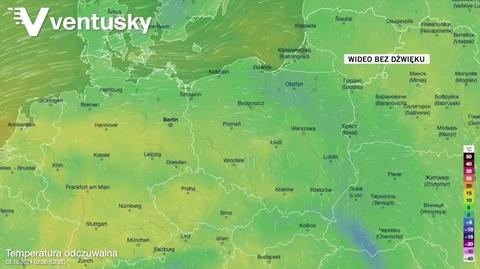 Prognozowana temperatura w kolejnych dniach 