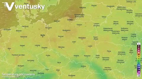 Prognozowana temperatura w kolejnych dniach 