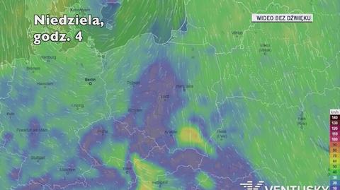 Prognozowana prędkość porywów wiatru w kolejnych dniach (Ventusky.com)