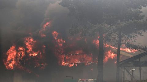 Skutki pożaru w regionie Valparaiso. Nagranie z drona 