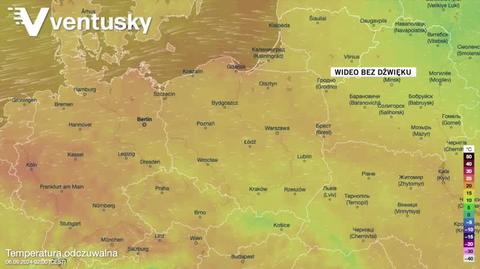 Prognozowana temperatura w kolejnych dniach 