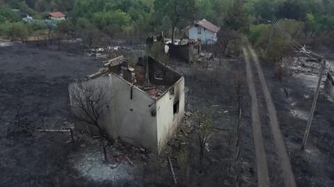 Pożary w Bułgarii 