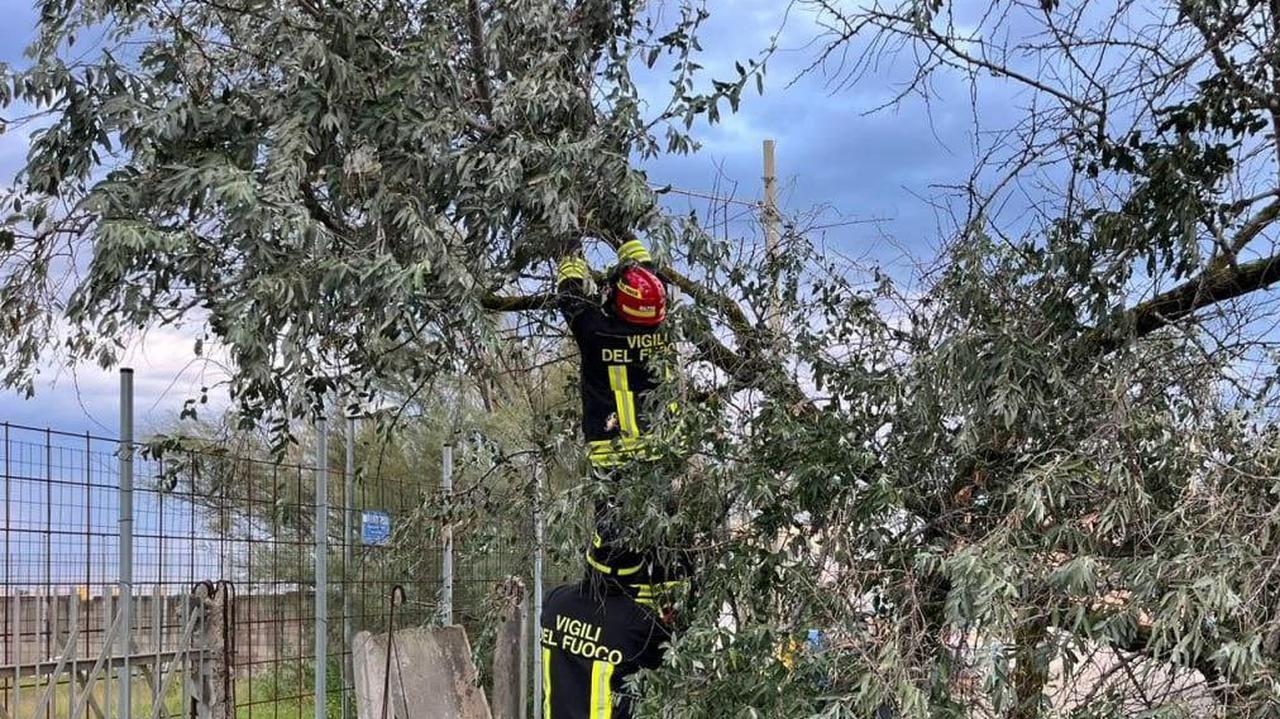 Sztab kryzysowy, połamane drzewa, utrudnienia na kolei