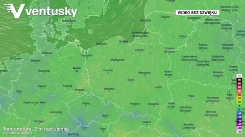 Prognozowana temperatura w kolejnych dniach