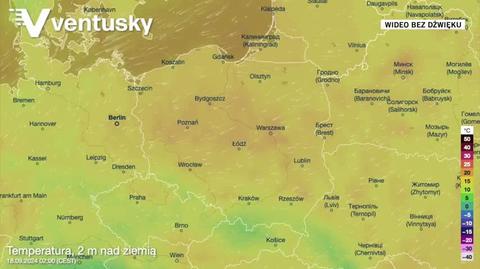 Prognozowana temperatura w kolejnych dniach