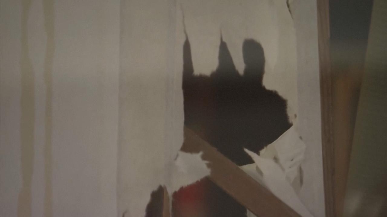 Niedźwiedź zdemolował pensjonat