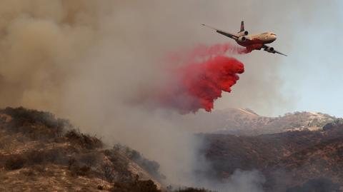 Pożar w miejscowości Altadena wschodzącej w skłźad aglomeracji Los Angeles