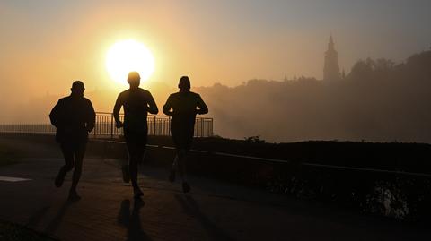 Prognozowana temperatura na kolejne dni