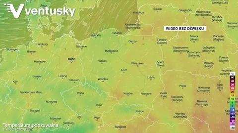 Prognozowana temperatura w kolejnych dniach