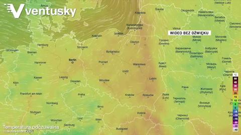 Prognozowana temperatura w kolejnych dniach