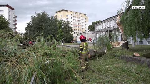 Powalone drzewa po nawałnicach w Szczecinie
