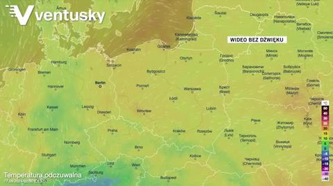 Prognozowana temperatura w kolejnych dniach