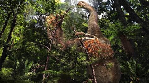 Dziwaczny dinozaur z dwoma pazurami odkryty na pustyni Gobi