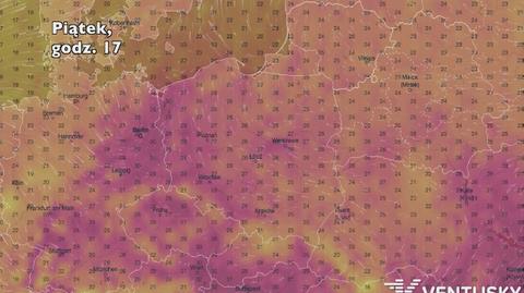 Temperatura w ciągu najbliższych pięciu dniu (Ventusky.com) | wideo bez dźwięku