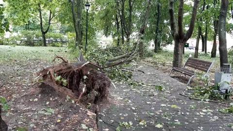 Burza w miejscowości Okrzeja, woj. lubelskie