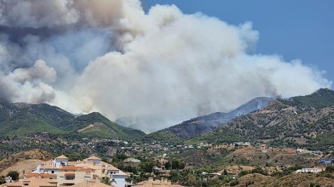 Płonie las w prowincji Malaga na południu Hiszpanii
