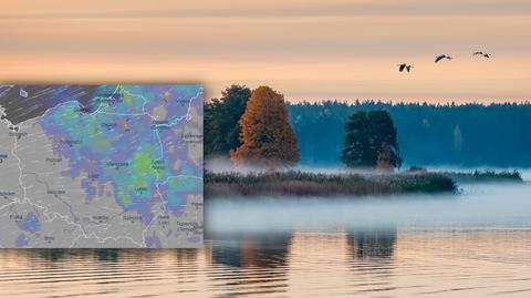 Prognozowana temperatura w kolejnych dniach