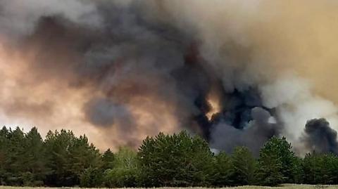 Pożary lasów w Kazachstanie