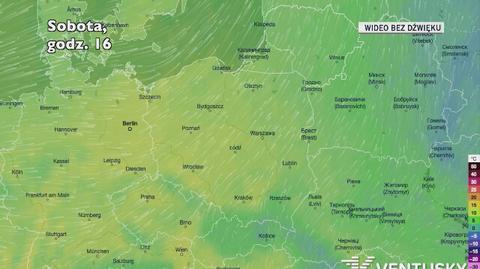 Prognozowana temperatura w najbliższych dniach