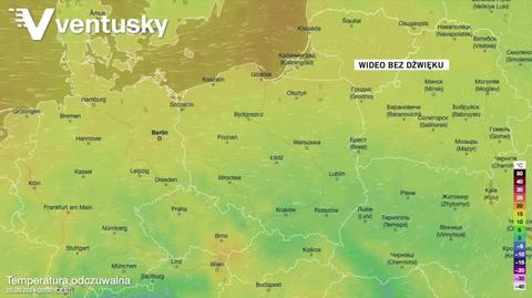 Prognozowana temperatura w kolejnych dniach