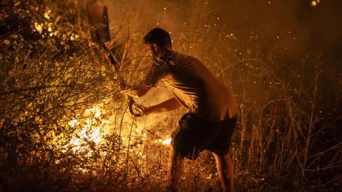 Strażacy walczą z pożarem w Galicji