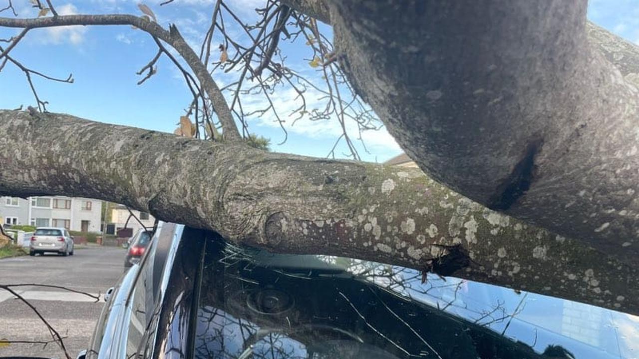 Burza Amy dotarła do Irlandii. Setki tysięcy bez prądu